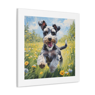 Joyful Schnauzer Canvas Print