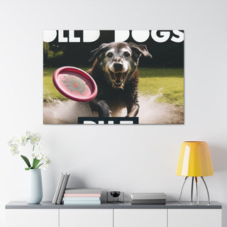 "Age is Just a Number: Embracing the Joys of Senior Dogs"- Canvas