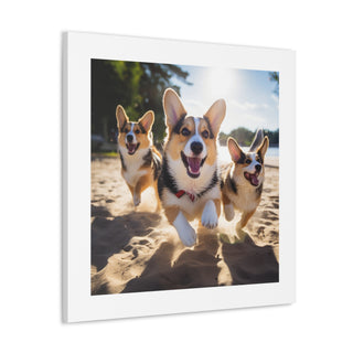 Corgie Rush Fun Print.