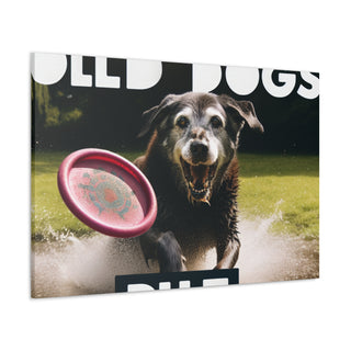 "Age is Just a Number: Embracing the Joys of Senior Dogs"- Canvas