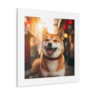 Shiba Smile Sunrise Splendor.