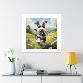 "Schnauzer's Pastoral Joy"