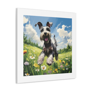 Miniature Schnauzer Pasture Print