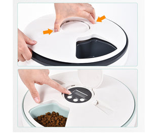 timed Pet Feeder