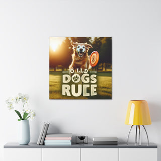 "The Ageless Adventures of Canine Companions: "OLD DOGS RULE""- Canvas