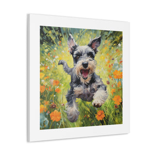 "Cheerful Schnauzer in Spring"