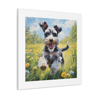 Joyful Schnauzer Canvas Print