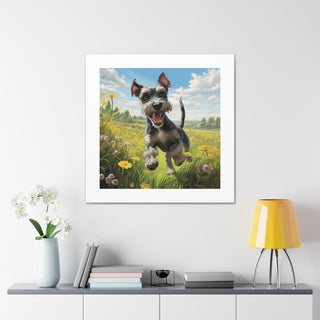 Joyful Frolicking Schnauzer Print