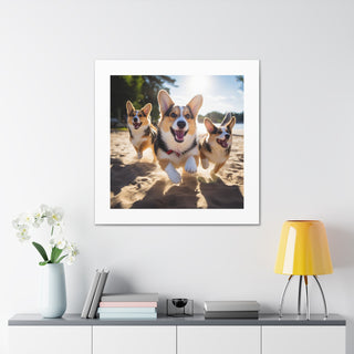 Corgie Rush Fun Print.