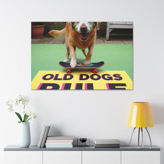 Title: "Old and Bold: The Reign of Experienced Pooches"
Image: An elderly dog confidently catching a frisbee with vibrant energy and determination.- Canvas