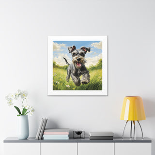 "Joyful Miniature Schnauzer Pasture"