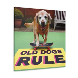 Title: "Old and Bold: The Reign of Experienced Pooches"
Image: An elderly dog confidently catching a frisbee with vibrant energy and determination.- Canvas