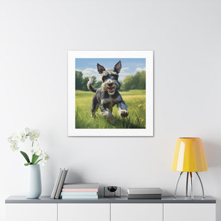 Jubilant Schnauzer Pasture Print