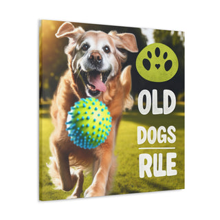 "Age Ain't Nothin' But a Number: Celebrating the Wisdom and Youthfulness of Old Dogs" 

[Image of an old dog wearing a cap and holding a Frisbee, with a group of young dogs running and playing in the background]- Canvas