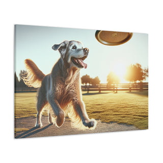 Title: "Senior Paws: Embracing the Ageless Spirit of Old Dogs" 
Image: [An image shows a grey-haired Labrador happily chasing after a frisbee in a park, with the text "Old Dogs Rule" written in bold font above.]- Canvas