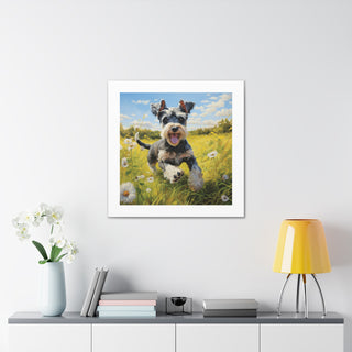 Joyful Mini Schnauzer Print