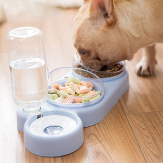 Eco-Friendly Feeder Drinking Water for Pets - Blue Option