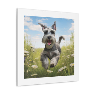 Joyful Schnauzer Canvas