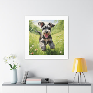 Joyful Schnauzer Meadow Print