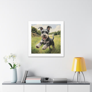 Joyful Miniature Schnauzer Print