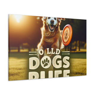 "The Ageless Adventures of Canine Companions: "OLD DOGS RULE""- Canvas