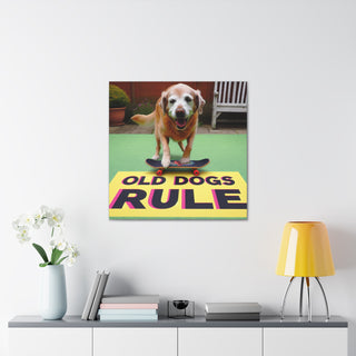 Title: "Old and Bold: The Reign of Experienced Pooches"
Image: An elderly dog confidently catching a frisbee with vibrant energy and determination.- Canvas