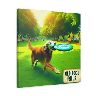 "Age Ain't Nothin' But a Number: Embracing the Playful Spirit of Old Dogs" 

[Image: old-dog-playing-fetch.jpg]- Canvas