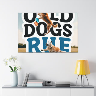 "Age is Just a Number: Celebrating the Reign of Old Dogs"

[Insert image of an old dog jumping for a frisbee or playing fetch]- Canvas