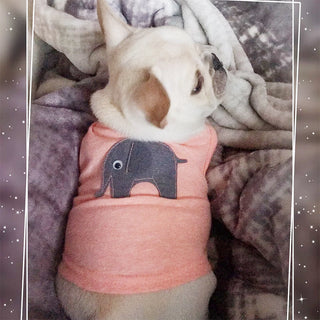 pets clothes