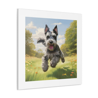 Joyful Schnauzer Canvas Print