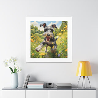 Frolicking Schnauzer Canvas Print