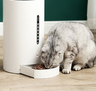 Pet Smart Feeder