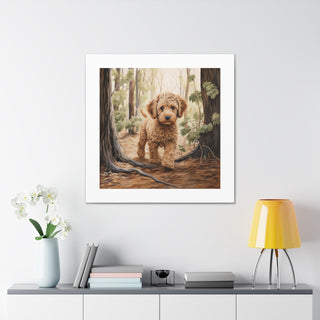 "Aussie Labradoodle Bliss"