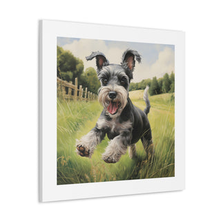 Joyful Miniature Schnauzer Print