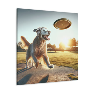 Title: "Senior Paws: Embracing the Ageless Spirit of Old Dogs" 
Image: [An image shows a grey-haired Labrador happily chasing after a frisbee in a park, with the text "Old Dogs Rule" written in bold font above.]- Canvas