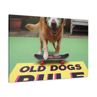 Title: "Old and Bold: The Reign of Experienced Pooches"
Image: An elderly dog confidently catching a frisbee with vibrant energy and determination.- Canvas