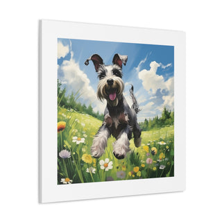 Miniature Schnauzer Pasture Print