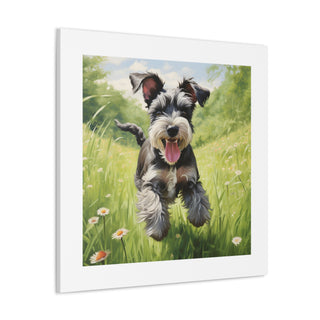 Joyful Schnauzer Meadow Print