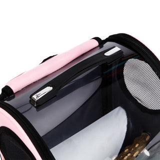 Foldable porous pet bag