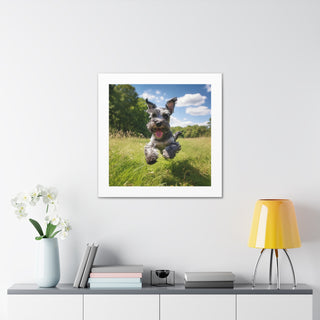 Joyful Schnauzer Pastoral Print