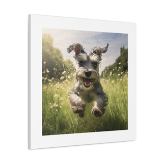 "Mini Schnauzer Joyful Pasture"