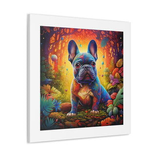 Psychedelic Furbabies Print