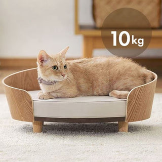 Teddy Pet Sofa Bed