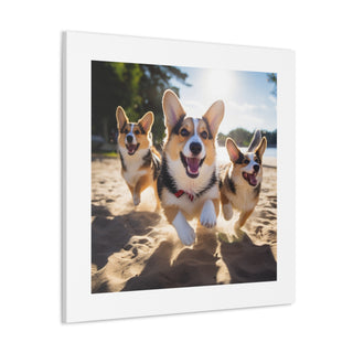 Corgie Rush Fun Print.