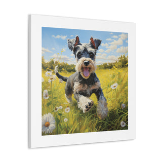 Joyful Mini Schnauzer Print