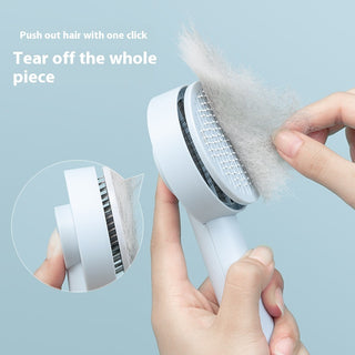 Pet Needle Comb Hair