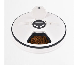 timed Pet Feeder