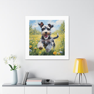 Joyful Schnauzer Canvas Print