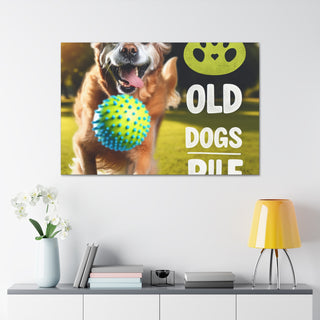 "Age Ain't Nothin' But a Number: Celebrating the Wisdom and Youthfulness of Old Dogs" 

[Image of an old dog wearing a cap and holding a Frisbee, with a group of young dogs running and playing in the background]- Canvas