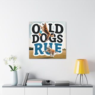 "Age is Just a Number: Celebrating the Reign of Old Dogs"

[Insert image of an old dog jumping for a frisbee or playing fetch]- Canvas